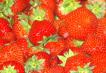 3,4 Kilogramm Erdbeeren verbrauchten die Deutschen pro Kopf voraussichtlich im Wirtschaftsjahr 2014/15. Damit sind Erdbeeren beliebter als Kirschen oder auch Birnen.