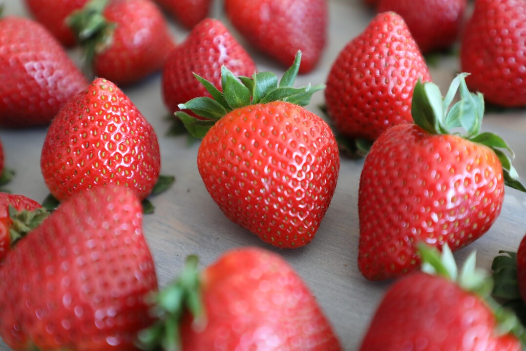 Frisch schmecken Erbeeren einfach am besten. Die Zeit heimischer Erbeeren hat nun begonnen.