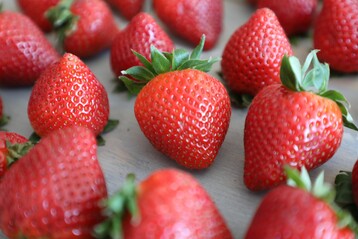 Frisch schmecken Erbeeren einfach am besten. Die Zeit heimischer Erbeeren hat nun begonnen. 
