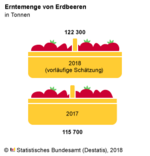 Die Erntemenge von Erdbeeren 2018 im Vergleich zum Vorjahr.