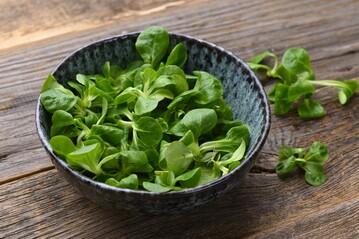 Im Winter ist Feldsalat besonders beliebt: Fast 70 Prozent der jährlichen Einkaufsmenge wandert in den kalten Monaten über die Ladentheke.