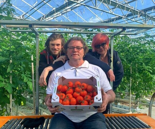 Die frnkischen Tomaten von Familie Bhm aus Albertshofen sind gekennzeichnet mit dem Herkunfts- und Qualittskennzeichen "Geprfte Qualitt - Bayern".