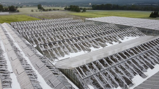 Diese Plexiglaseindeckung wurde am 23. Juni durch Hagel vollstndig zerschlagen. 

  
