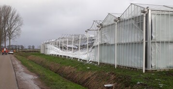 Neben meist kleineren (Glas-)Schden wurden einzelne Betriebe in den Niederlanden am 18. Januar vergleichsweise stark durch Friederike getroffen.