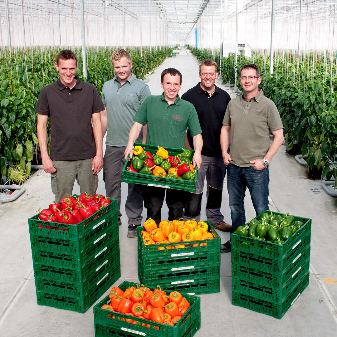 Die Reichenauer Gärtnersiedlung im Hegau in Kooperation mit Edeka erhielt den 2. Preis für unternehmerische Innovation in der Landwirtschaft.