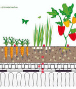Schema des Gründachaufbaus
von Optigrün
