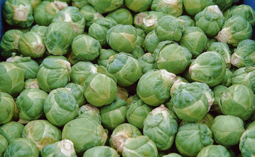 Marktfertiger Rosenkohl