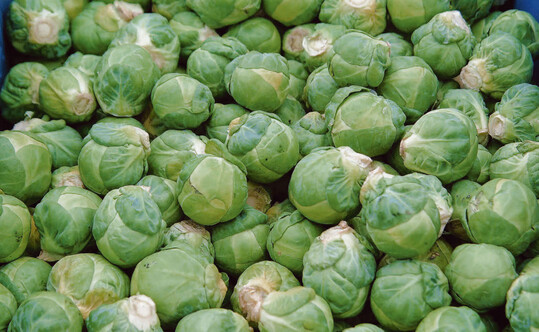 Marktfertiger Rosenkohl