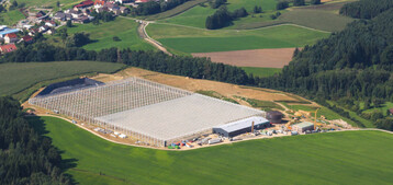 Das neue Gewchshaus ist 231 m lang und 176 m breit. Rund 1.700 t Gemse werden ab 2018 den Weg zum Verbraucher finden. 