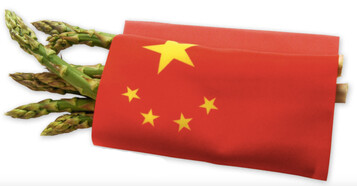 Auf den Internationalen Spargeltagen in Cesena, Italien, prsentierte China die Vielfalt seiner Spargelproduktion.