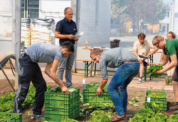 Bewerber fr eine Ausbildung zum Grtner/in im Gemsebau sind anspruchsvoller geworden. Vor allem branchenfremde Bewerber mit bereits abgeschlossenen Ausbildungen sind sehr motiviert.