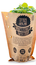 So sieht das „Hauptstadtbasilikum“ verkaufsbereit im Supermarkt aus.