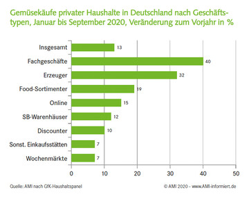 Gemsekufe privater Haushalte in Deutschland nach Geschftstypen, Januar bis September 2020, Vernderung zum Vorjahr in % 