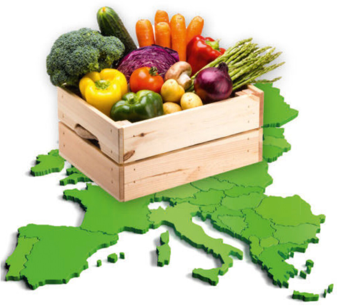 Gemüsebau im europäischenVergleich.