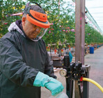 Der Pflanzenschutz ist im Gemüsebau immer ein Dauerbrenner