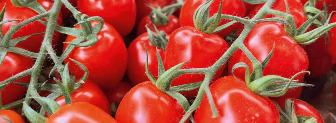 Cocktailtomaten