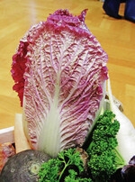 Im Gemüsekorb des Anbaugebiets Gundelfingen: roter Chinakohl als eine von mehreren Besonderheiten.