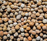 Granulierter Gips ist gut auszubringen.