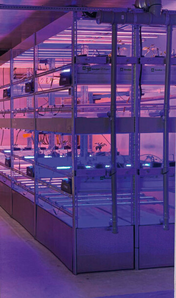 In dem Projekt SUSKULT werden Kultursysteme fr Indoor-Vertical-Farmen entwickelt. 