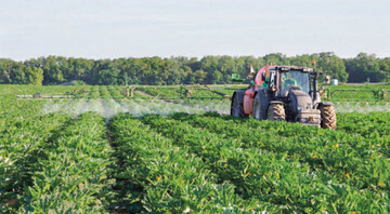 Eine praxisnahe Erfassung zum Pflanzenschutz im Gemüsebau bietet das Neptun-Stichprobenverfahren.