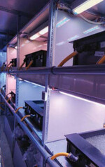 Versuchsaufbau zum Einfluss von Licht auf die Wasserlinse Wolffiella hyalina.