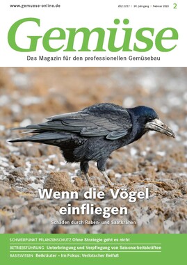 Cover Gemüse 02/2023
