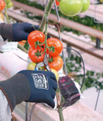 Pflegemaßnahmen nach der Anwendung von PSM und bei getrocknetem Spritzbelag mit Handschuhen nach ISO 18889 Typ GR.