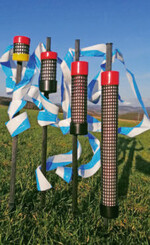 Die Duftsäulen können das ganze Jahr über im Bestand verbleiben.