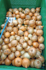 Beispielhafte Ertragserfassung einer Wiederholung einer Variante im Jahr 2022.