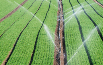 Beim Umsetzen der Dngeverordnung geht es um eine effiziente Dngung, um die Erhaltung unbeeintrchtigten Grund- und Oberflchenwassers sowie um die Verringerung von Ammoniakemmissionen aus landwirtschaftlichen Quellen.