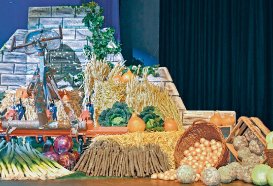 Der Bioanbau erfordert auch eine Umstellung bei Pflanzenschutz und Dngung.