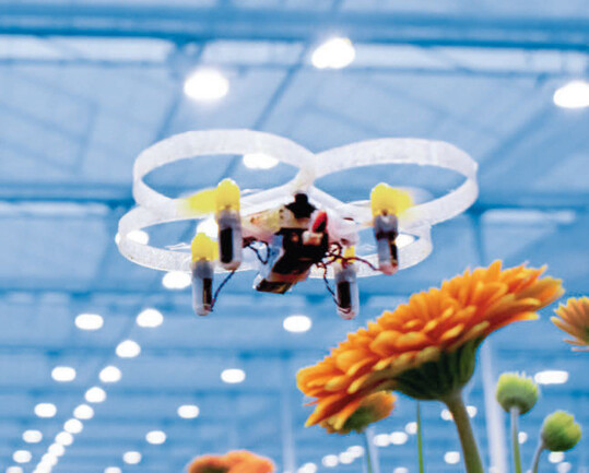 Mikrodrohnen sollen künftig fliegende Schädlinge bekämpfen.
