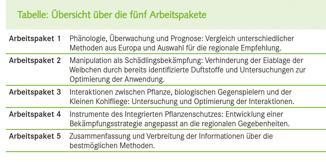 Übersicht über die fünf Arbeitspakete