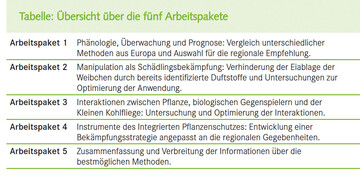 bersicht ber die fnf Arbeitspakete