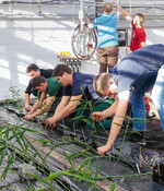 Die Schüler bei der Pflanzung.