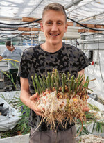 Georg Ell freut sich über die Ingwer-Ausbeute.