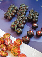 Die kleine, dunkelviolette „Yoom“- Rispentomate von Syngenta gewann den FLIA 2020 in Berlin.