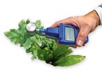 Mit Dualex bestimmt Pessl Instruments den Chlorophyllgehalt.