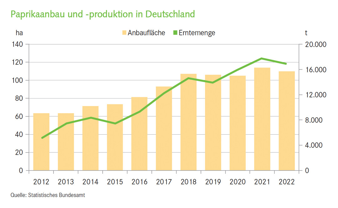 Paprikaanbau und -produktion in Deutschland