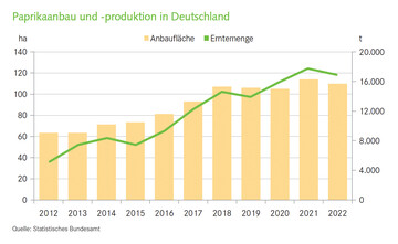 Paprikaanbau und -produktion in Deutschland