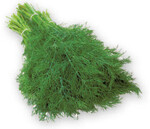 ‘Thalia’ ist sowohl für den Frischmarkt als auch für die Industrieverarbeitung geeignet.