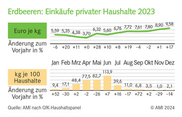 Erdbeeren: Einkufe privater Haushalte 2023