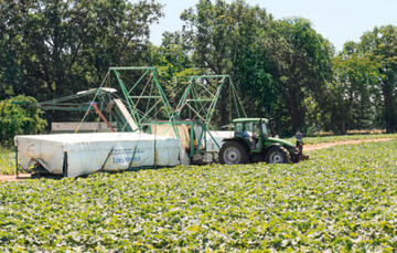 Die bestehende Gruppengröße von maximal 15 Personen ist problematisch bei der Besetzung von Gurkenfliegern.
