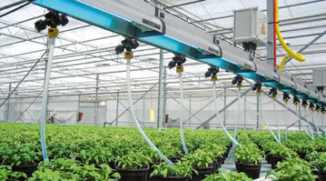 Einsatz von Clean-Light im Erwerbsgartenbau.