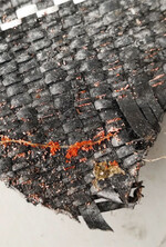 Wintergetreidemilben werden auch über Mulchgewebe eingeschleppt.