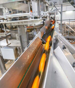 Pro Sekunde verarbeitet die Sortop Karotten in einer Reihenlänge von 1,95 Meter.