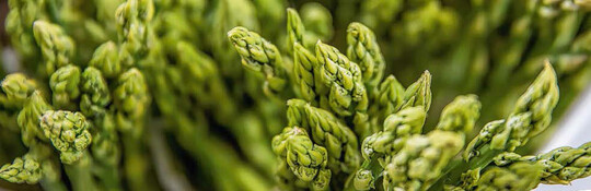 Spargel