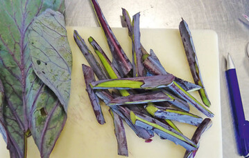 Relevante Pflanzenorgane fr Presssaftanalyse; hier im Bild Rotkohl.