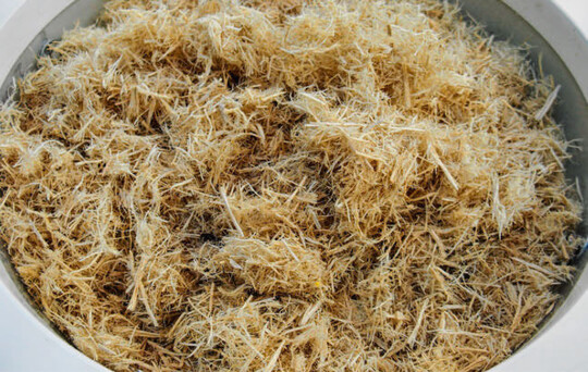 Die grobe Gramoflor-Holzfaser LignoFibre coarse.