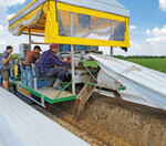 Die maschinelle Ernte kann sich lohnen. Laut Spargelberater Ralf Große Dankbar müsse sich aber erst die Ausbeute weiter erhöhen.